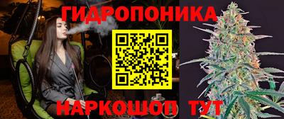 мяу мяу мука Северобайкальск