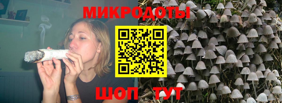 Псилоцибиновые грибы прущие грибы Симферополь